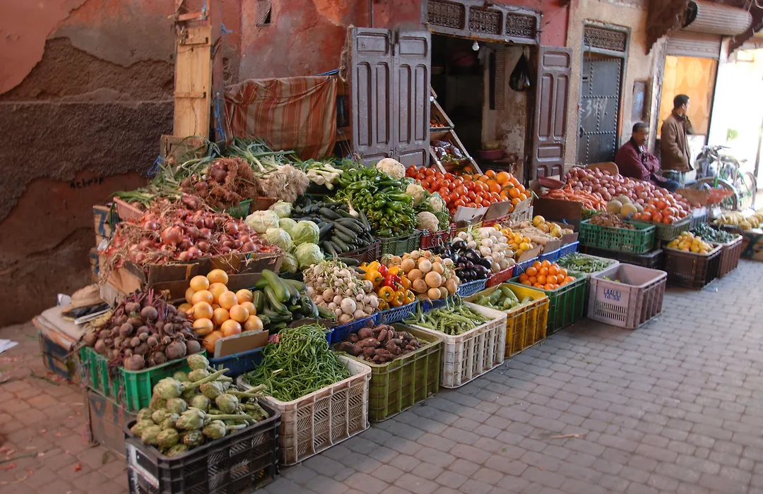 Riad Ajmal-1